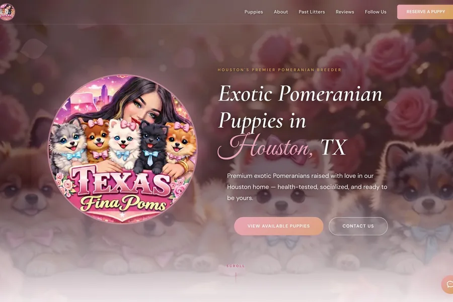 Custom website design by SyX